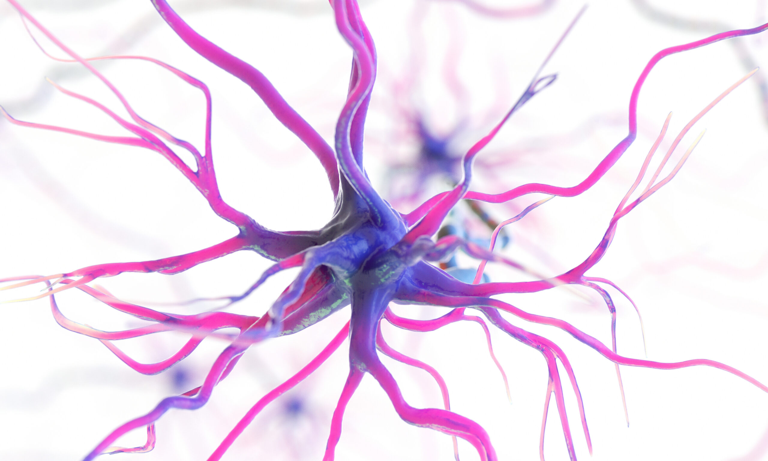 3d rendered medically accurate illustration of a human nerve cell on a white background